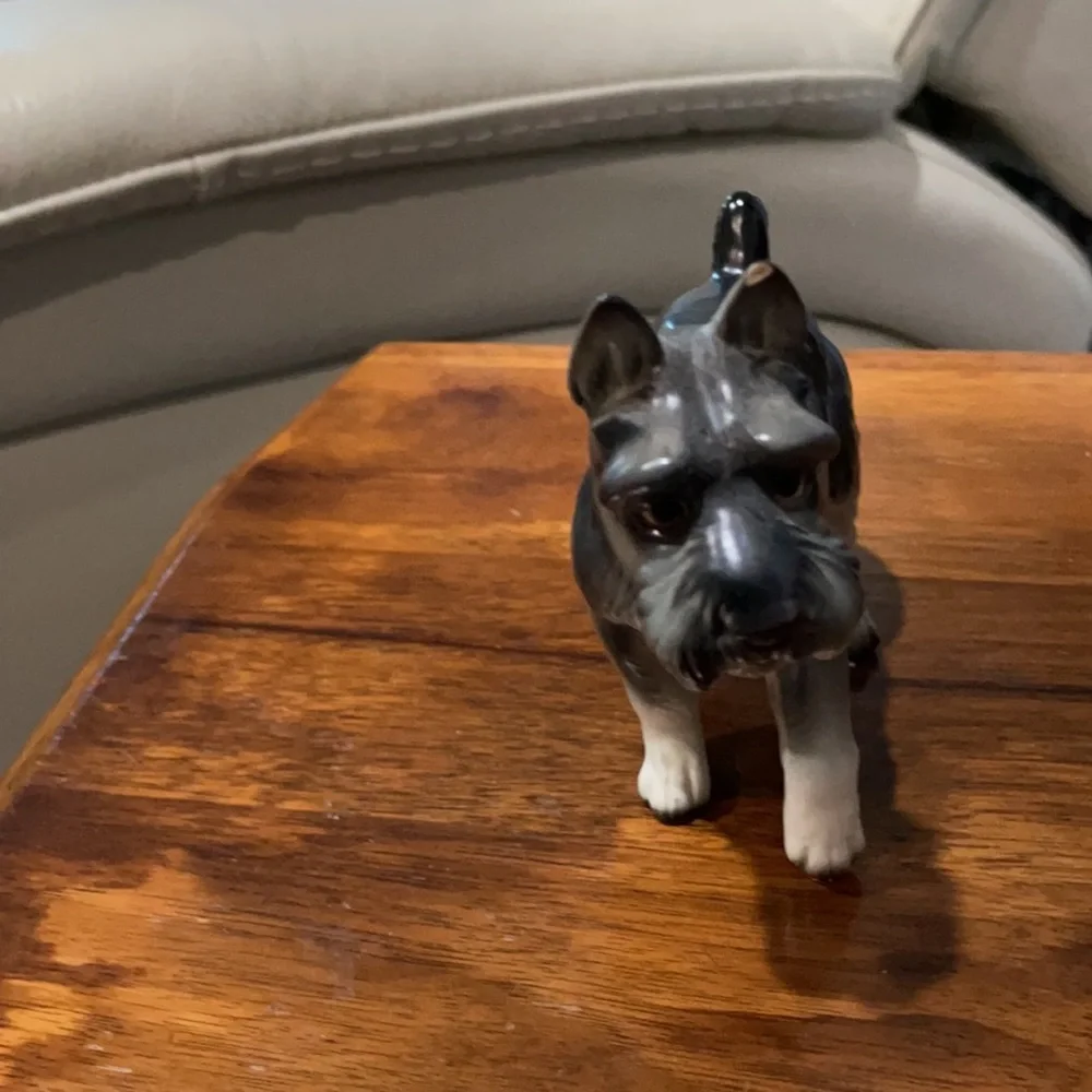 Dog statue chip on ear🐶